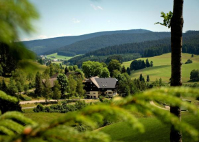 Kuckucksnest Jostal Titisee-Neustadt